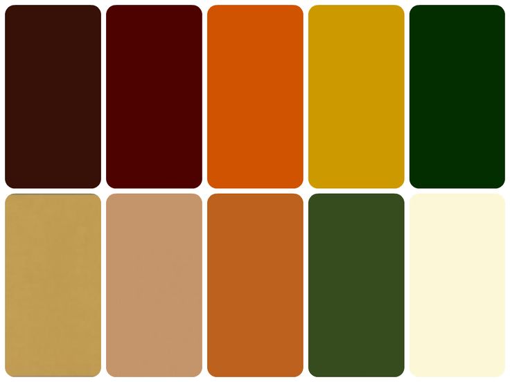 Earthy and Warm Color Palettes