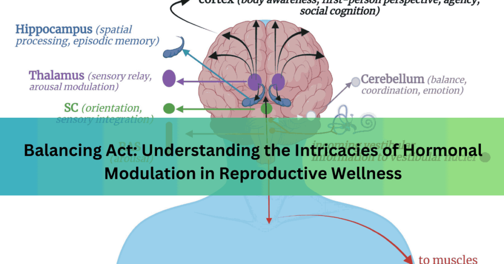 Balancing Act Understanding the Intricacies of Hormonal Modulation in Reproductive Wellness