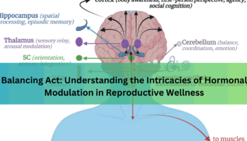 Balancing Act Understanding the Intricacies of Hormonal Modulation in Reproductive Wellness