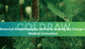 Botanical Breakthroughs 10 Plants Leading the Charge in Medical Innovatio