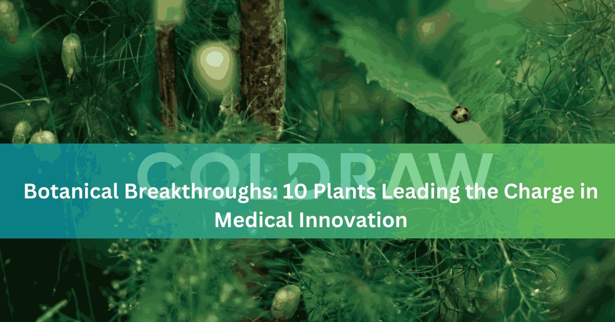 Botanical Breakthroughs 10 Plants Leading the Charge in Medical Innovatio