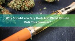 Why Should You Buy Hash And Weed Pens In Bulk This Summer