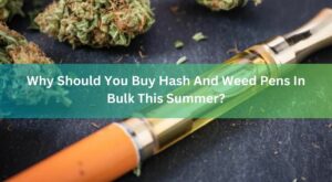 Why Should You Buy Hash And Weed Pens In Bulk This Summer