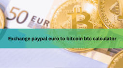 Exchange paypal euro to bitcoin btc calculator