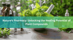 Nature's Pharmacy Unlocking the Healing Potential of Plant Compounds